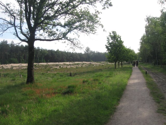 img_2631.jpg