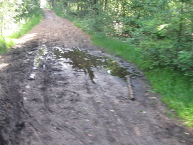 img_2643.jpg