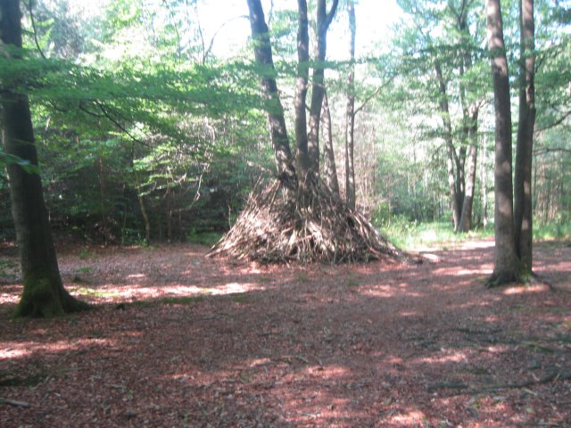img_2649.jpg