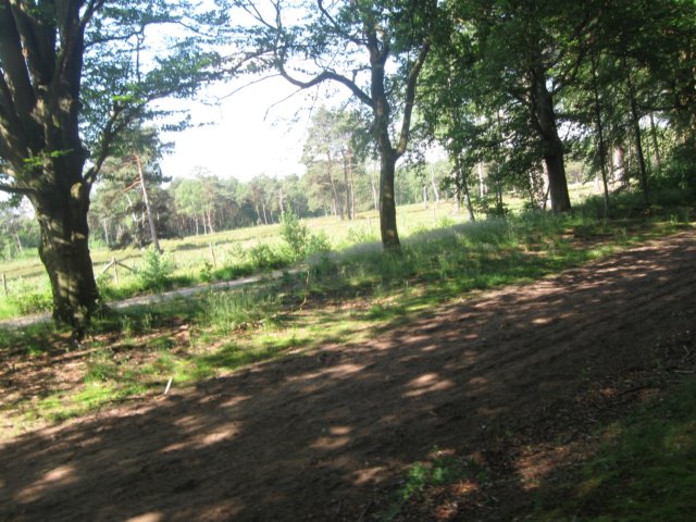 img_2660.jpg