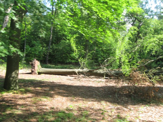 img_2661.jpg