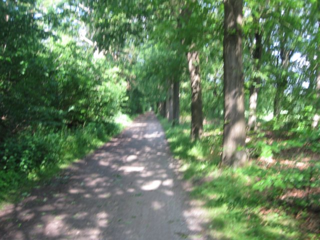 img_2663.jpg