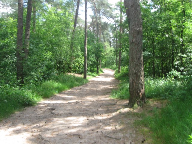img_2724.jpg