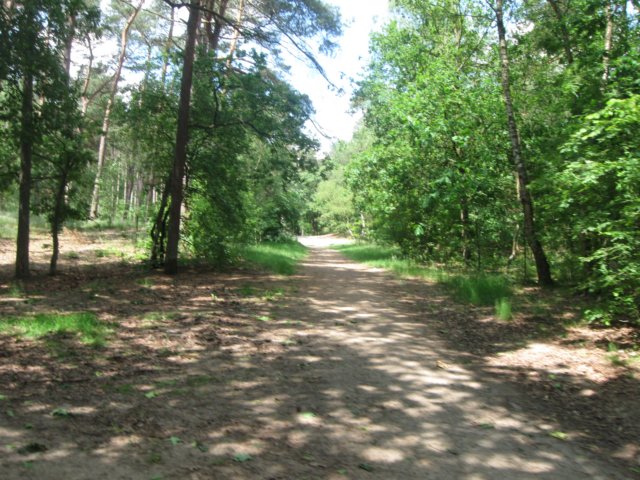img_2730.jpg