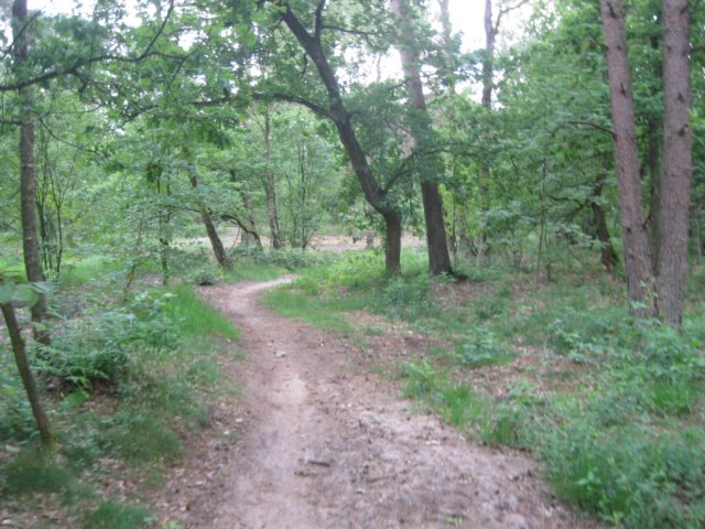 img_2747.jpg