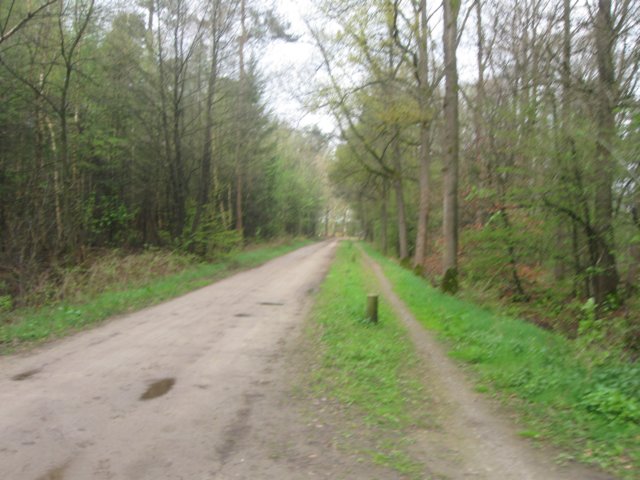 img_0748.jpg