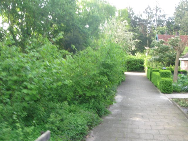 img_1587.jpg