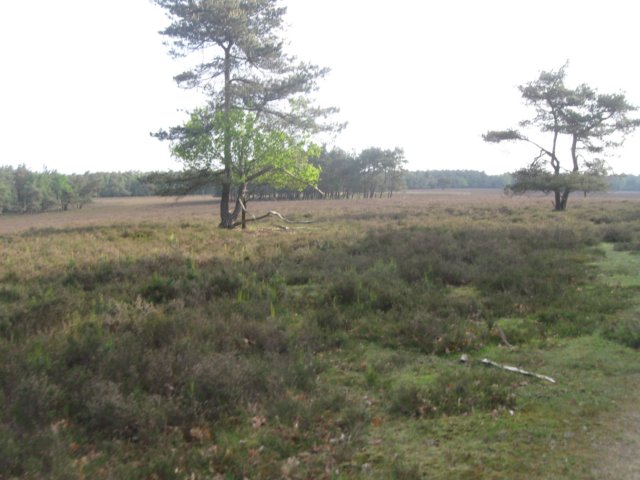 img_1596.jpg