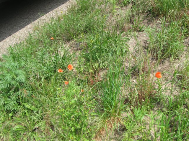 img_1673.jpg