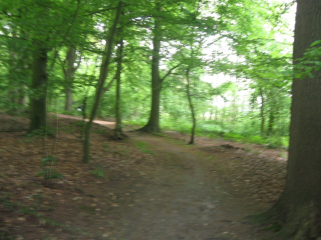 img_1680.jpg
