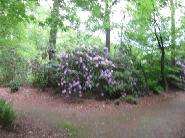 img_1682.jpg
