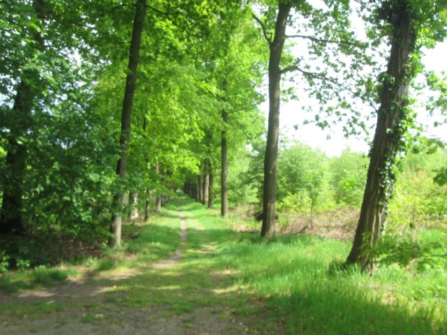 img_1684.jpg