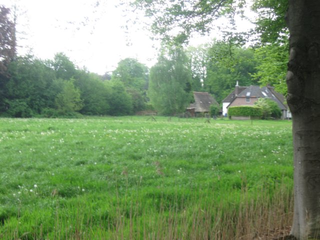 img_1686.jpg