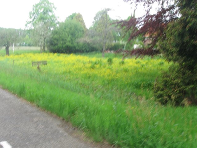 img_1687.jpg