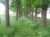 img_1689_small.jpg