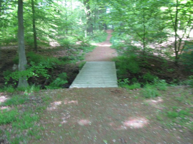 img_1697.jpg