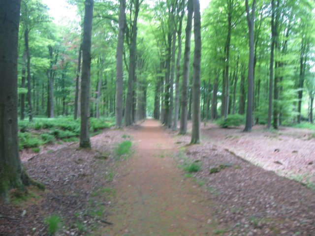 img_1698.jpg