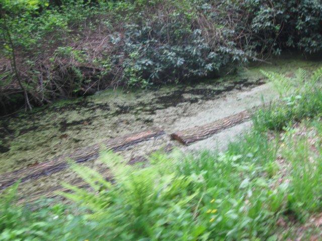 img_1700.jpg