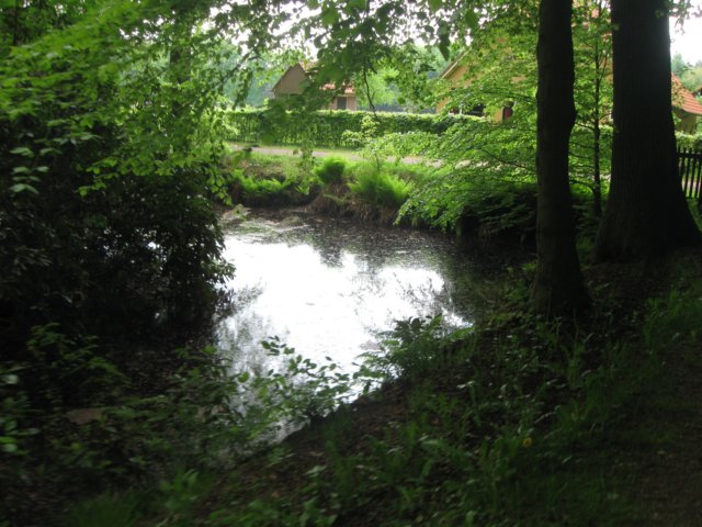 img_1701.jpg