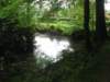 img_1701_small.jpg