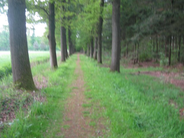 img_1707.jpg