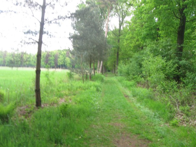 img_1708.jpg