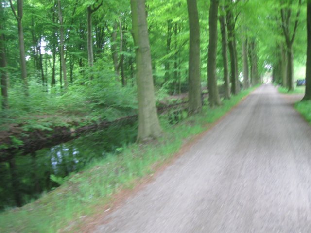 img_1709.jpg