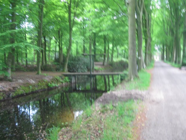 img_1710.jpg
