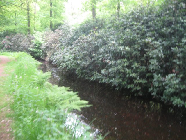 img_1716.jpg