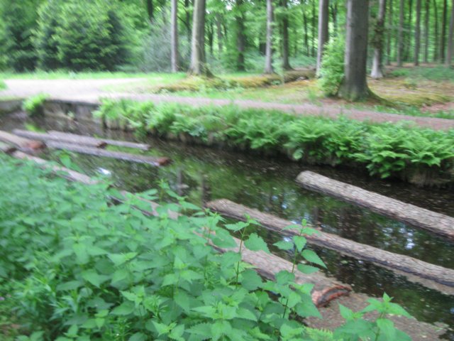 img_1717.jpg