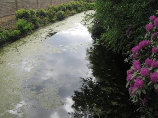img_1721.jpg