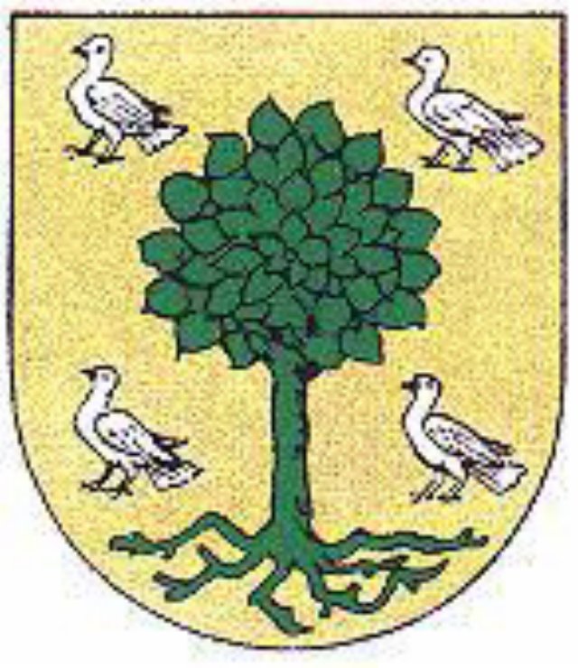 gemeentewapenwijheanno1november1898.jpg