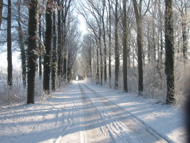 img_7623.jpg