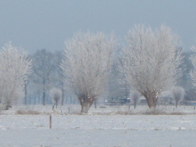 img_7648.jpg
