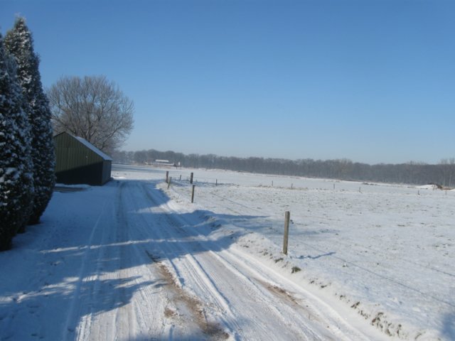 img_7673.jpg