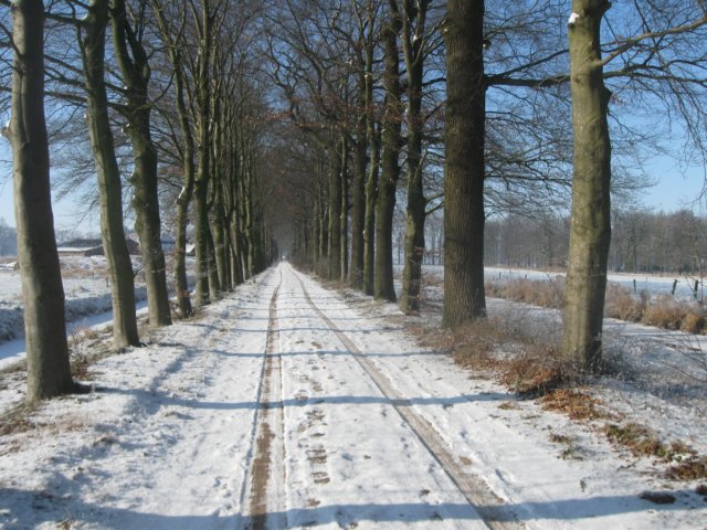 img_7680.jpg