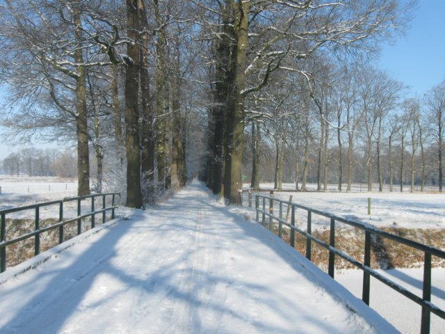 img_7681.jpg