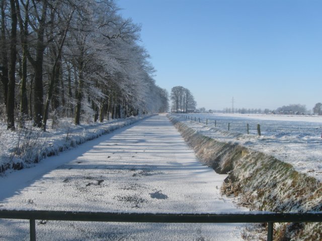img_7683.jpg