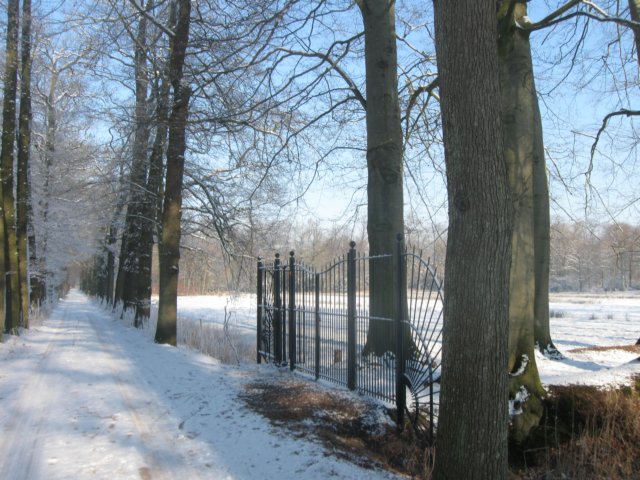 img_7684.jpg