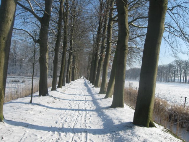 img_7685.jpg