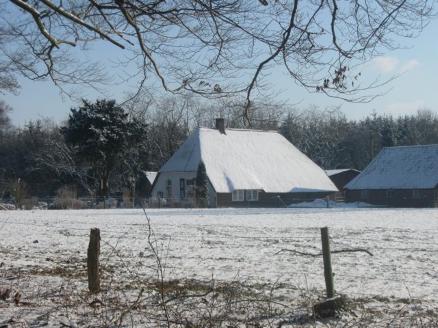 img_7697.jpg