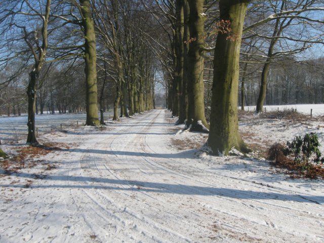 img_7698.jpg