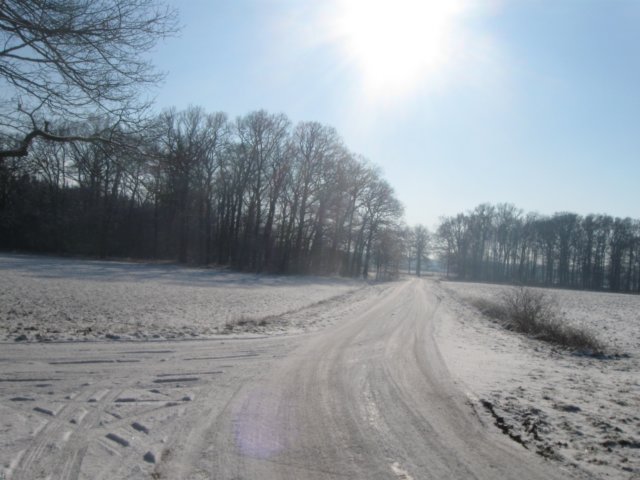 img_7699.jpg