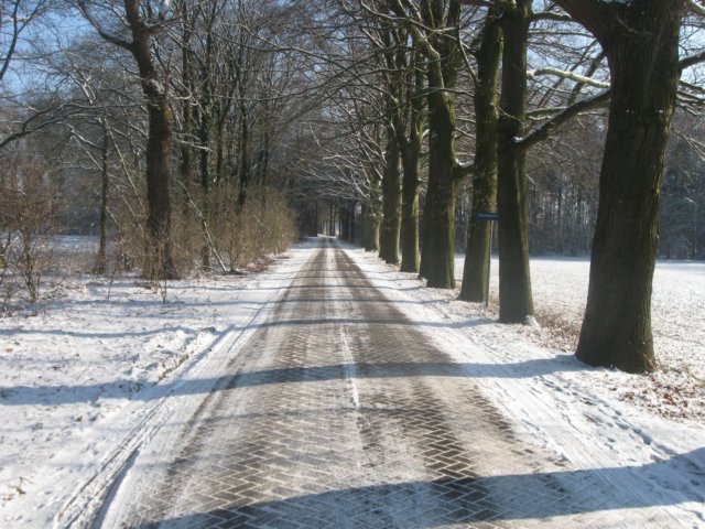 img_7700.jpg