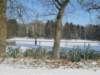 img_7701_small.jpg