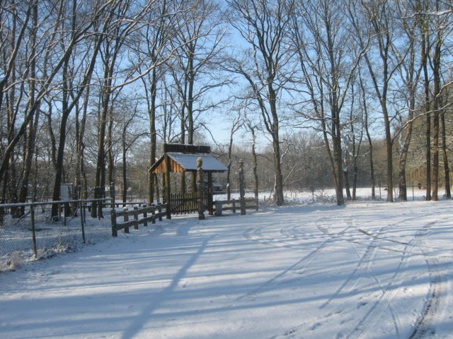 img_7704.jpg