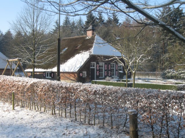 img_7707.jpg