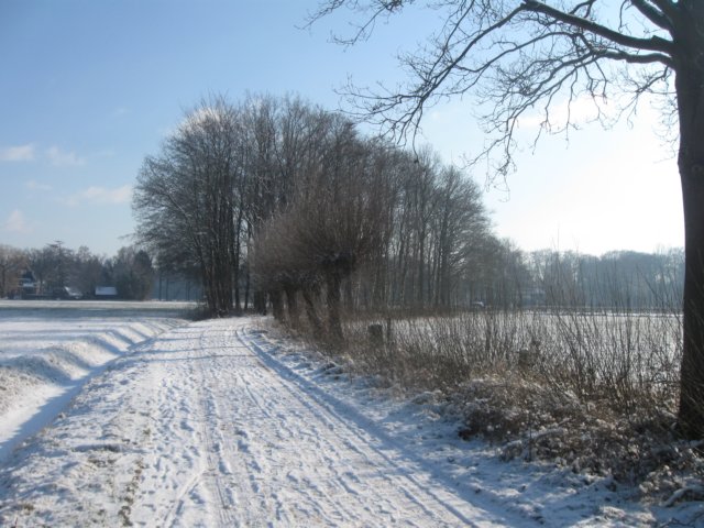 img_7723.jpg