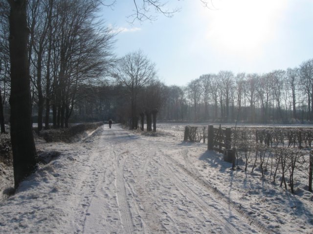 img_7724.jpg