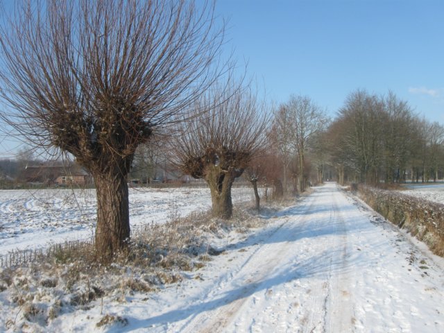 img_7725.jpg